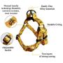 QQPETS Dog Harness Leash Set,Adjustable Vest Durable Heavy Duty Puppy Small Medium Large Dogs Perfect for Walking Running Training