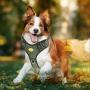 PETAGE Dog Harness and Dog Leash 6FT Heavy Duty Dog Leash with 2 Padded Handles
