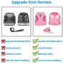 Dog Harness and Leash Set for Walking, Escape Proof Vest Harness with Soft Mesh, Adjustable Velcro, Reflective Strips for Kitten Cats and Puppy Dogs