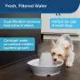 PetSafe Ceramic Pet Drinking Fountains, Creekside or Seascape Cat and Dog Fresh Flowing Water Dispensers, 60 oz Capacity, Durable Hygienic Ceramic Material, Easy to Clean Design, Filters Included PetSafe Ceramic Pet Drinking Fountains, Creekside or Seascape Cat and Dog Fresh Flowing Water Dispensers, 60 oz Capacity, Durable Hygienic Ceramic Material, Easy to Clean Design, Filters Included