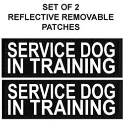 Doggie Stylz Set of 2 Reflective Service Dog in Training Removable Patches with Hook Backing for Working Dog Harnesses & Vests. Durable and Interchangeable - Comes in 3 Sizes Small, Medium and Large