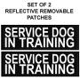 Doggie Stylz Set of 2 Reflective Service Dog in Training Removable Patches with Hook Backing for Working Dog Harnesses & Vests. Durable and Interchangeable - Comes in 3 Sizes Small, Medium and Large