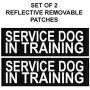 Doggie Stylz Set of 2 Reflective Service Dog in Training Removable Patches with Hook Backing for Working Dog Harnesses & Vests. Durable and Interchangeable - Comes in 3 Sizes Small, Medium and Large Doggie Stylz Set of 2 Reflective Service Dog in Training Removable Patches with Hook Backing for Working Dog Harnesses & Vests. Durable and Interchangeable - Comes in 3 Sizes Small, Medium and Large
