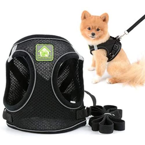SMALLLEE_LUCKY_STORE Soft Mesh Step-in Small Dog/Cat Harness and Leash Set for Walking Escape Proof Reflective Puppy Vest Harness