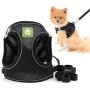 SMALLLEE_LUCKY_STORE Soft Mesh Step-in Small Dog/Cat Harness and Leash Set for Walking Escape Proof Reflective Puppy Vest Harness