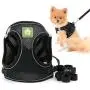 SMALLLEE_LUCKY_STORE Soft Mesh Step-in Small Dog/Cat Harness and Leash Set for Walking Escape Proof Reflective Puppy Vest Harness SMALLLEE_LUCKY_STORE Soft Mesh Step-in Small Dog/Cat Harness and Leash Set for Walking Escape Proof Reflective Puppy Vest Harness