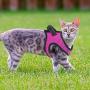 PAWDAY Dog Harness Step-in Air Pet Harness All Weather Soft Touch Mesh Vest Harness No Pull & No Choke and Escapeproof Dog Vest for Puppies, Small Medium Dogs and Large Cats