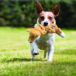 KONG - Scrunch Knots Squirrel - Internal Knotted Ropes and Minimal Stuffing for Less Mess - For Small/Medium Dogs