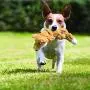 KONG - Scrunch Knots Squirrel - Internal Knotted Ropes and Minimal Stuffing for Less Mess - For Small/Medium Dogs KONG - Scrunch Knots Squirrel - Internal Knotted Ropes and Minimal Stuffing for Less Mess - For Small/Medium Dogs