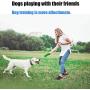 Dog Chew Toys 2020 Upgrade Dog Toys for Aggressive Chewers Large Medium Breed Crocodile Dog Toothbrush Indestructible Outside Interactive Pets Training Toys Tough Dental Chews Teething Cleaning