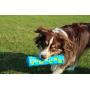 OllyDog Adventure Fetch Rubber Toy, Functional, Tough, Durable Rubber Toy for Dogs, Squeaky Stick Toy, Perfect Puppy Chew Toy Made from Non-Toxic Natural Rubber for MediumDog