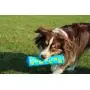 OllyDog Adventure Fetch Rubber Toy, Functional, Tough, Durable Rubber Toy for Dogs, Squeaky Stick Toy, Perfect Puppy Chew Toy Made from Non-Toxic Natural Rubber for MediumDog