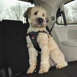 Easy Rider Adjustable Car Harness