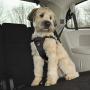 Easy Rider Adjustable Car Harness
