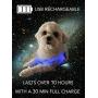 LED Light Dog Harness for Night Walking - USB Rechargeable, Super Bright, Removable and Easy to Wear for Small/Medium/Large Dogs (Pink, Small (Chest: 12.5”-15.7”))