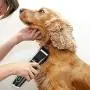 MLCINI Dog Grooming Clippers Upgrade Professional Dog Clippers with LCD Display 3-Speed Dog Grooming Kit High Power No Stuck Hair Cordless Pet Hair Clippers for Small and Large Dogs Cats Animals MLCINI Dog Grooming Clippers Upgrade Professional Dog Clippers with LCD Display 3-Speed Dog Grooming Kit High Power No Stuck Hair Cordless Pet Hair Clippers for Small and Large Dogs Cats Animals