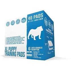 Bulldogology Premium Puppy Training Pee Pads Bundle Kit (X-Large, 2X 40-Count)