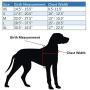 Hiado Dog Harness with Front Clip and Back Clip No Pull Adjustable for Small Medium Large Dogs