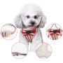 HALOViE Small Dog Harness with Leash, Fashionable Puppy Cat Striped Harness Breathable Soft Mesh for Small Medium Pet Doggy Doggie Kitten