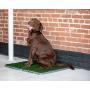 Silver Paw Potty Patch Dog Potty – Replaces Wee Wee Pads – The Best Pet Turf Potty Training Tool – Works for Puppies & Adult Dogs – For Big Dogs