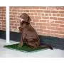 Silver Paw Potty Patch Dog Potty – Replaces Wee Wee Pads – The Best Pet Turf Potty Training Tool – Works for Puppies & Adult Dogs – For Big Dogs Silver Paw Potty Patch Dog Potty – Replaces Wee Wee Pads – The Best Pet Turf Potty Training Tool – Works for Puppies & Adult Dogs – For Big Dogs