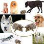 Legendog Hedgehog Dog Toys, 2 Pcs Dog Squeaky Toys Stuffed Hedgehog Dog Chew Toys Plush