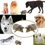 Legendog Hedgehog Dog Toys, 2 Pcs Dog Squeaky Toys Stuffed Hedgehog Dog Chew Toys Plush Legendog Hedgehog Dog Toys, 2 Pcs Dog Squeaky Toys Stuffed Hedgehog Dog Chew Toys Plush