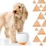 ALL FUR YOU Wobbling Moving Food Bowls. Slow Feeder Dog Bowl Cat Bowl Fun Feed Slower Eating Puzzle Maze Extra Challenge Promotes Healthy Eating Foraging for Dogs to Slow Down Eating Large and Small ALL FUR YOU Wobbling Moving Food Bowls. Slow Feeder Dog Bowl Cat Bowl Fun Feed Slower Eating Puzzle Maze Extra Challenge Promotes Healthy Eating Foraging for Dogs to Slow Down Eating Large and Small