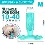 meihao Pet Dog Toys Toothbrush Toothbrush Dog Decompression Elastic Rubber Molar bite Resistant pet Toys