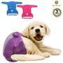SunGrow Washable Dog Diapers, Fits 9-15 Inches Waist, Blue, Purple and Pink, Reusable, Super-Absorbent Soft Fabric, Elastic Waist, Easy to Use Touch Fastener, Pack of 3