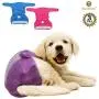SunGrow Washable Dog Diapers, Fits 9-15 Inches Waist, Blue, Purple and Pink, Reusable, Super-Absorbent Soft Fabric, Elastic Waist, Easy to Use Touch Fastener, Pack of 3 SunGrow Washable Dog Diapers, Fits 9-15 Inches Waist, Blue, Purple and Pink, Reusable, Super-Absorbent Soft Fabric, Elastic Waist, Easy to Use Touch Fastener, Pack of 3