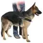 Dean & Tyler D&T UNIVERSAL COASTGUARD BK-XL DT Universal No Pull Dog Harness, Coast Guard Dog, X-Large, Fits Girth, 91cm to 119cm, Black Dean & Tyler D&T UNIVERSAL COASTGUARD BK-XL DT Universal No Pull Dog Harness, Coast Guard Dog, X-Large, Fits Girth, 91cm to 119cm, Black