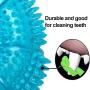 OHMYGODD Dog Chew Toys, Durable Safe Non-toxic Soft Rubber Chew Resistant Dog Toy with Squeaker (Blue Circle)