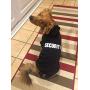 BINGPET BA1002-1 Security Patterns Printed Puppy Pet Hoodie Dog Clothes