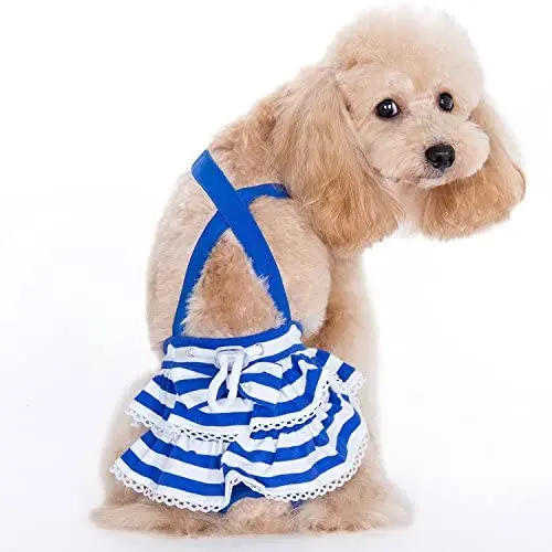 Alfie Pet - Charlotte Diaper Dog Sanitary Pantie with Suspender for Girl Dogs - Color: Blue, Size: Small Alfie Pet - Charlotte Diaper Dog Sanitary Pantie with Suspender for Girl Dogs - Color: Blue, Size: Small