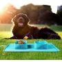 Lattook Collapsible Dog Bowls, Foldable Expandable Cup Dish for Pet Dog Cat Food Water Feeding Portable Travel Bowl, Food Grade Silicone Double Pet Bowl for for Camping, Hiking, Walking, Blue