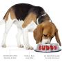 GPET Dog Bowl 32 Oz Stainless Steel Bowls with Anti-Skid Rubber Base for Food or Water Perfect Dish for Dog Puppy Cat and Kitten