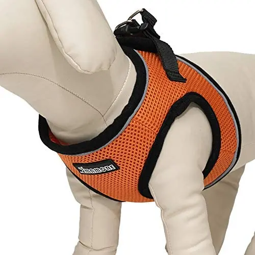 Adjustable Mesh Dog Vest Harness, Breathable Soft Reflective Outdoor Pet Vest with Safety Buckle for Small and Medium Dogs Adjustable Mesh Dog Vest Harness, Breathable Soft Reflective Outdoor Pet Vest with Safety Buckle for Small and Medium Dogs