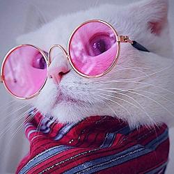 8 Pcs Pet Sunglasses Retro Funny Round Metal Prince Glasses Set for Small Cats Dogs Cosplay Toys Photos Props Accessories