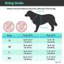 Eagloo Dog Harness No Pull, Walking Pet Harness with 2 Metal Rings and Handle Adjustable Reflective Breathable Oxford Soft Vest Easy Control Front Clip for Small Medium Large Dogs