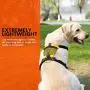 HOWGO Dog Harness,4 Point Adjustable Lightweight Waterproof&Odor-Proof Dog Harness with Leash Clip,No-Choke,Reflective with Storage Pocket for Training and Walking,Hunting(Yellow, Medium) HOWGO Dog Harness,4 Point Adjustable Lightweight Waterproof&Odor-Proof Dog Harness with Leash Clip,No-Choke,Reflective with Storage Pocket for Training and Walking,Hunting(Yellow, Medium)