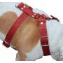 Red Genuine Leather Dog Harness, Large to XLarge. 33''-37'' Chest, 1.5'' Wide Straps, Rottweiler Mastiff