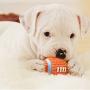 Latex Sports Balls Squeaky Chew Toy for Pet Dog Puppy Cat Kitten