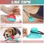 JESTOP Dog Chew Toys with Bell, Suction Cup Teething Rope Toys for Small and Large Dogs, Dogs Training Treats Toy, Multifunctional Interactive Pet Toy JESTOP Dog Chew Toys with Bell, Suction Cup Teething Rope Toys for Small and Large Dogs, Dogs Training Treats Toy, Multifunctional Interactive Pet Toy