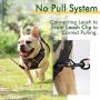 rabbitgoo Dog Harness No Pull for Large Dogs with 2 Leash Clips & Handle - Reflective Pet Soft Vest - Adjustable Easy Control Dog Training Vest - Breathable Oxford Padded for Comfort (Military Style)