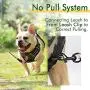 rabbitgoo Dog Harness No Pull for Large Dogs with 2 Leash Clips & Handle - Reflective Pet Soft Vest - Adjustable Easy Control Dog Training Vest - Breathable Oxford Padded for Comfort (Military Style)