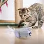 DADYPET Interactive Robotic Cat Toy, Mouse Shape Automatic Irregular Moving USB Rechargeable Electronic Toy with 5 Replacement Feathers for Kitten, All Floors Available DADYPET Interactive Robotic Cat Toy, Mouse Shape Automatic Irregular Moving USB Rechargeable Electronic Toy with 5 Replacement Feathers for Kitten, All Floors Available