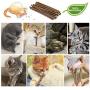 ZooZoo Catnip Silvevine Teaser Cat Toy Set (4xToys+20xMatatabi Chew Sticks), Soft Plush Interactive Fun Play Natural Treat Stimulate Active Pet Exercise Teeth Dental Cleaning Entertain Euphoric Effect