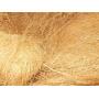 FIOLTY Seeds Package: 100% Clean Coconut HuskOrchids Arts Crafts Pet Bedding Pet Toy 100G