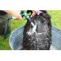 Jackie Doodles Pet Shampoo - Easily Removes Odors, Dirt & Itchy Dander - Awesome Results Guaranteed